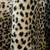 Leopard faux fur coat by (Expressions) Vintage 4 thumbnail