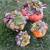 DECORATED PUMPKINS WITH SUCCULENTS 1 thumbnail