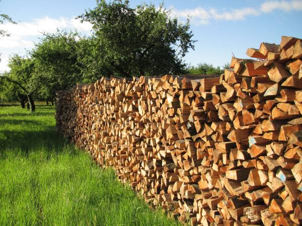❤️Firewood  -  Tehachapi  -  $160 -  Firewood 1