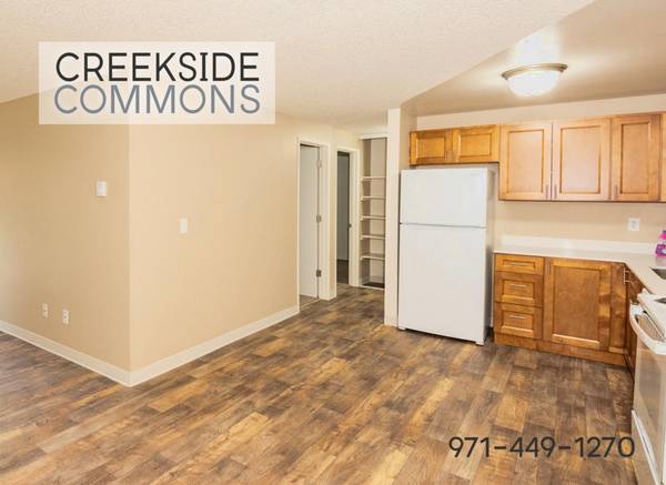 $1,345 / 1br - ESPECIAL - $500 DE DESCUENTO - Estantes empotrados, alfombra mullida | Planta abierta (Tigard)63820707764353120