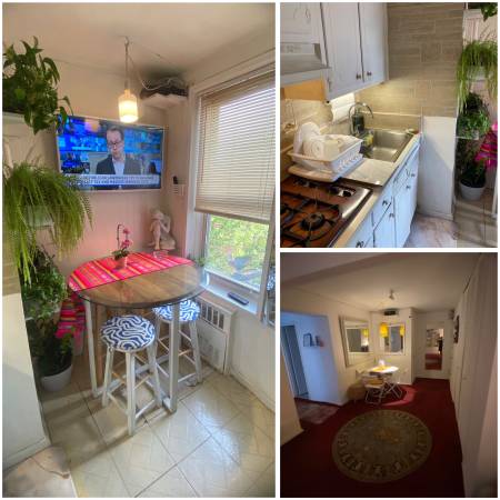 $900 / 3br - A ROOM FOR RENT RIGTH BEHIND THE QUEENS CENTER MALL (56-10 94 St)63816553731459124