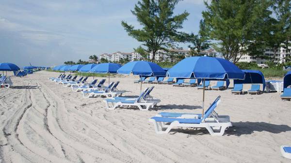 $1,300 / 1br - Palm Beach Shores Resort - April 25 - May 2, 2026 (Palm Beach Shores)63899124714627124