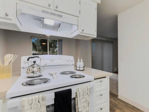 $1,450 / 2br - 2 Bed Apt with WD Hookup - USB Chargers Throughout + Pet Friendly (Rockwood Area)64039223295619123
