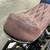 2003 Harley-Davidson XL883C - Sportster Custom 833C 24 thumbnail