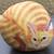 Cat Statues and more - $5 and up 15 thumbnail