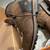 Men's Timberland Pro® Ballast  6" Composite Toe Work Boot shoes 1 thumbnail