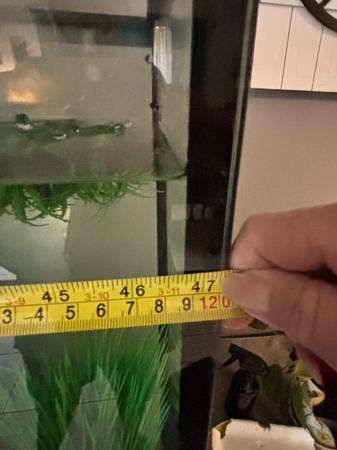 55 gallon aquarium (Milton)63836590835585120
