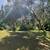 7119 Pleasants Valley Rd 13 thumbnail