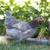 Cold hardy hens Chicks chickens pullets all female almost laying eggs 16 thumbnail