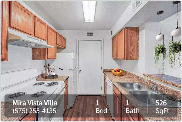 $845 / 1br - 526ft2 - A New Day, A Fresh Start: Your Ideal Home Awaits! (Las Cruces)63687913410561120