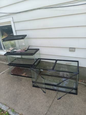 Great cheap tanks 1