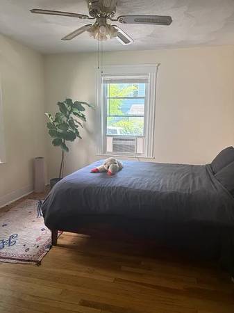 $1,450 / 2br - 1150ft2 - Sunny 1st-floor apartment in Ball Square (Somerville)63869887204097123