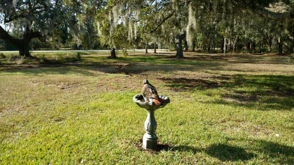 Time for a change?

0,000

                        Charleston SC.