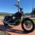 2017 Harley-Davidson Dyna Street Bob *House of Thunder H-D*😎 15 thumbnail