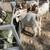 Boer goats Nubian goats for sale chivas de venta 6 thumbnail