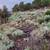 Peace, Privacy & Endless Views – Right Here in Cedar Highlands! 10 thumbnail