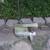 Mercury - lower unit 1 thumbnail