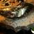 2012-2015 Ford Focus Headlamp 3 thumbnail