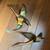 Mid Century Modern: kitchen table, cart, desk, record rack, metl geese 8 thumbnail