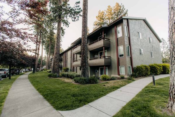 $1,300 / 2br - 920ft2 - Spacious Apt Nestled in Trees!  2 Bed/1Bath, Garage, A/C, Fitness Room (Coeur d'Alene)63969876883458123