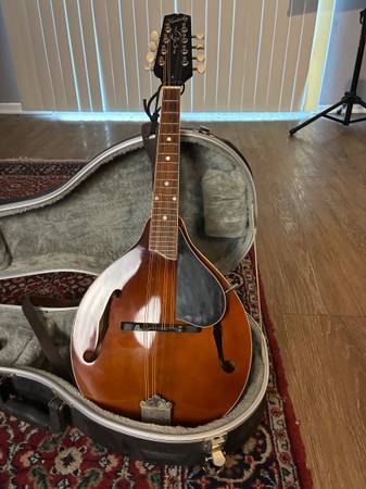 Kentucky KM-256 mandolin 1