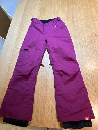 Roxy Waterproof and Insulated Ski Snow Pants (M - Size 10) 1