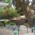 Tree service and garden 7 thumbnail