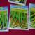 Ferry Morse OKRA 11 Seed Packs 3 Different Varieties For Trade 2 thumbnail