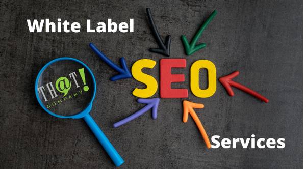Local SEO Services for Small Business in Lucknow Grow Your Local Reach 1
