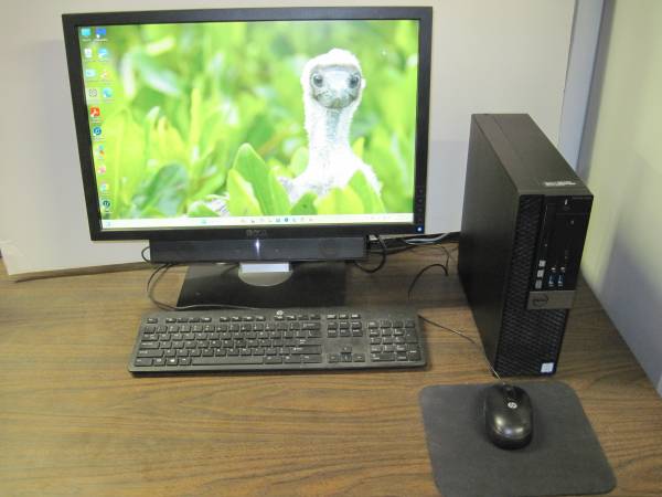 DELL Optiplex XE3 - Windows 11 Pro 1