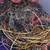 copper wire. scrap wire 1 thumbnail