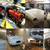 Restomod 1977 MG MGB Roadster 5-Speed 9 thumbnail