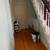 Room For Rent: Spacious Master Bedroom in 4 BD/1BA Shared House in Osw 3 thumbnail