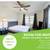 Half Off First Month!! Large Private Room Fully Furnished Near FL Mall 2 thumbnail