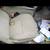 ♻️2006 TOYOTA PRIUS 1.5L FWD PARTING OUT 12 thumbnail