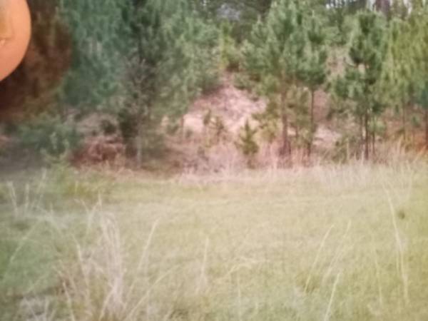$19,900 1.25 Acre Homesite (Compass Lake in the Hills, Alford)63910446297474124