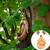 Tree Monster Bird Feeder, Durable Resin Creative Bird Feeder 7 thumbnail