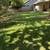 Arroyo grande Landscaping 7 thumbnail