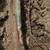 Plumbing Repairs,Plumber,Slab Leak,Water Heaters,Sewer & Drain Service 10 thumbnail