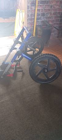 Dog wheel chair 1