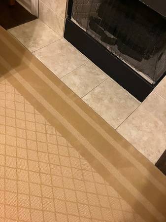 Thick, Clean 12’ x 16’ Carpet/Rug 1