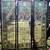 SET / 3 STAINED GLASS DOORS- BEAU ARTES ( 1890 ) 81" wide RARE 9 thumbnail