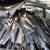 Corvair Parts For Sale 13 thumbnail