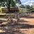 Geese 4 thumbnail