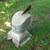 BIG Barn Cupola - wind vein roof decoration air ventilation 3 thumbnail