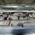 🔥2013 FORD ECONOLINE E250 4.6L PARTING OUT 9 thumbnail