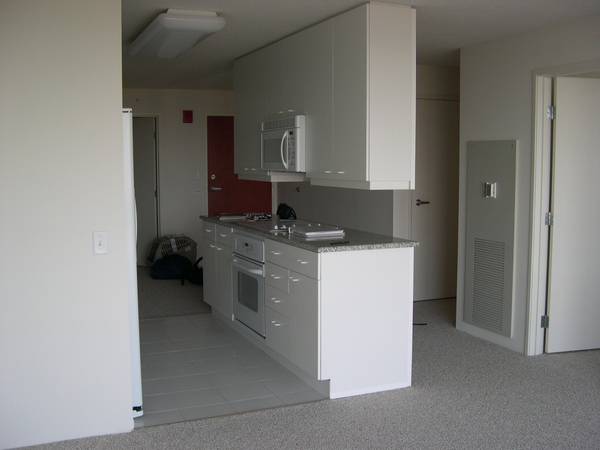 $3,400 / 2br - 1100ft2 - Luxury 2BR/2BA Condo- steps to Northwestern Uni. Full Lake View (800 Elgin Rd- Evanston, IL)64041645086338124