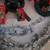 LOT of CHRISTMAS DECORATIONS – LIGHTS, GARLANDS, WREATH, STAND ++ 3 thumbnail