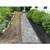 ✅ Professional landscaping & hardscaping ✅ Mulch, rock, & plant installation 1 thumbnail