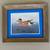 REDUCED-BEAUTIFUL Wood Frame with Widgeon Drake Color Print 1 thumbnail